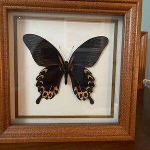 Framed Black and Gold Butterfly Art